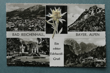 AK Bad Reichenhall / 1940-1960 / Mehrbildkarte / ein echter Edelweiss Gruss / echtes Edelweiss / mit Zwiesel u Hochstaufen